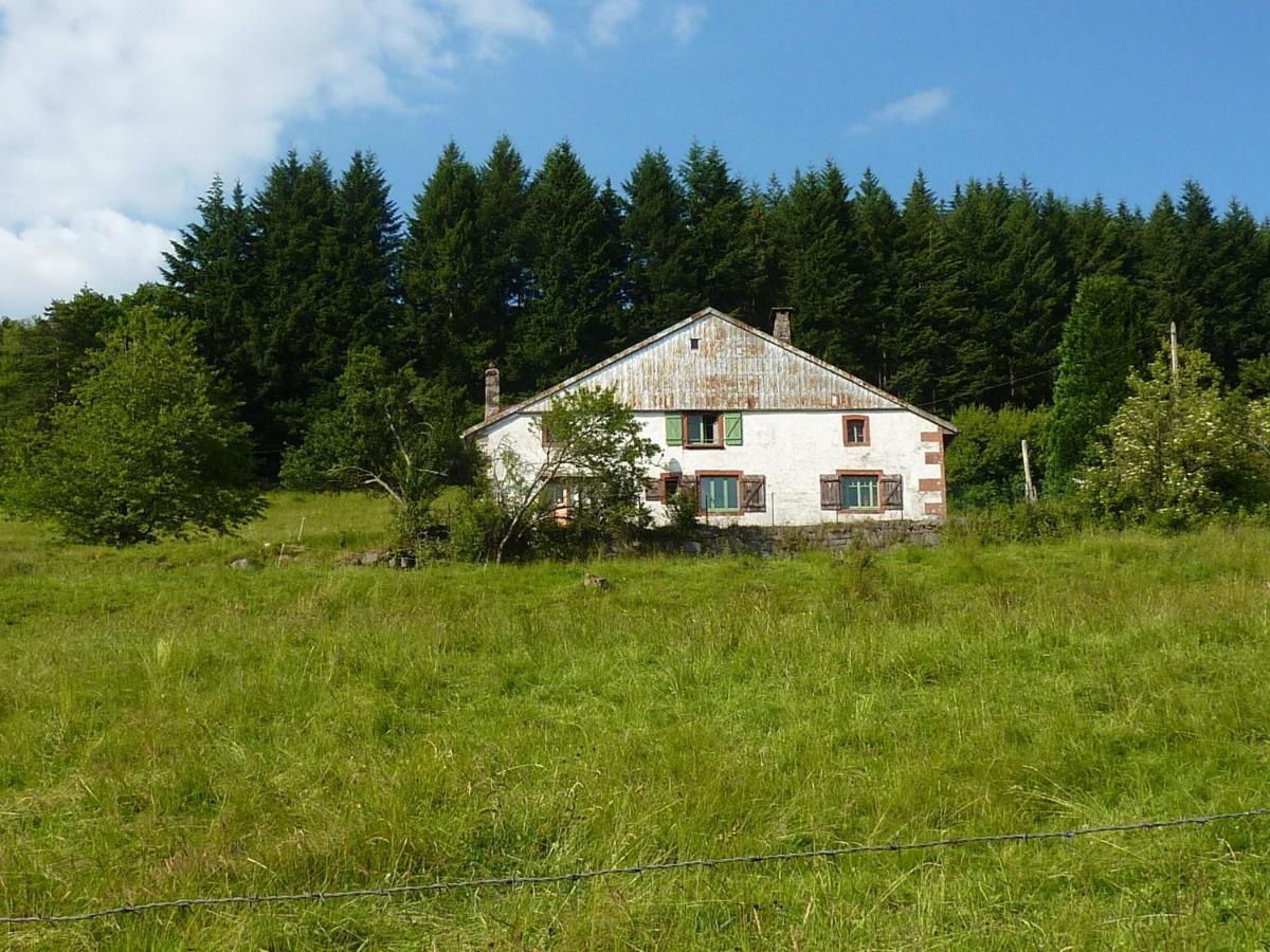 Charming Holiday Home Near The Ski Slopes Vagney Exterior foto